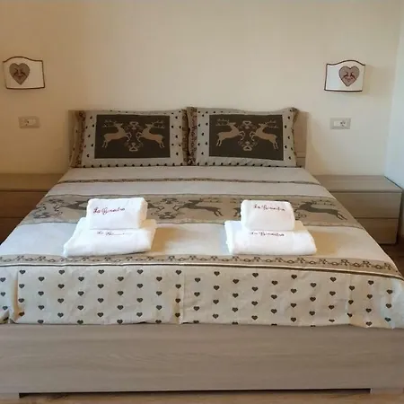 La Ginestra -